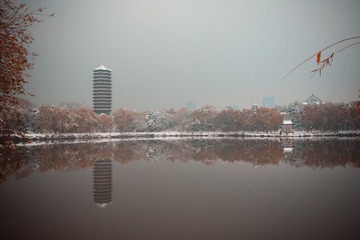 IMG_5690-1
