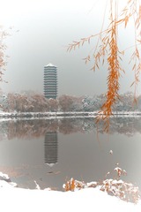 IMG_5703-1