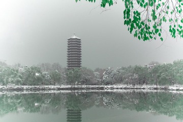 IMG_5710-1