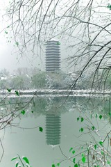 IMG_5715-1