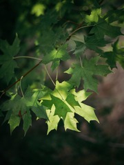 20160825 (49)-1