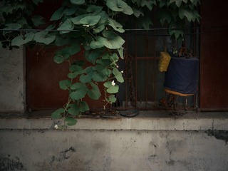 P1000382-2
