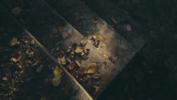 20161104 (14)-1_nEO_IMG