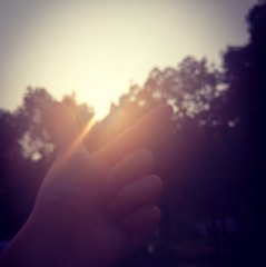 5456785