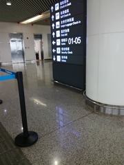 5319019