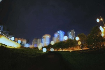 朦胧夜
