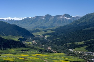 _DSC6384