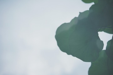 1780908