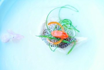 DSC05064-01