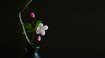 1428034