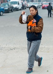 2014年2月，潍坊龙山路，抱狗的女
