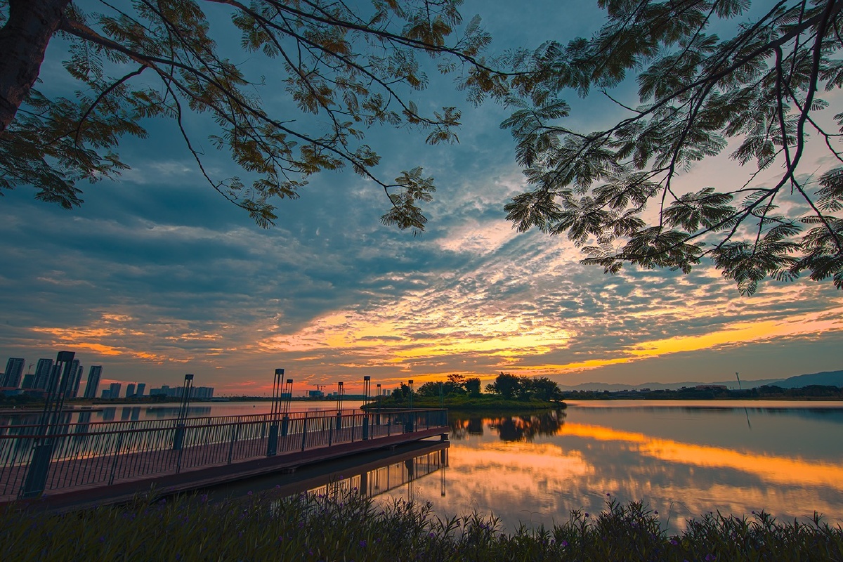 肇庆新区砚阳湖日出