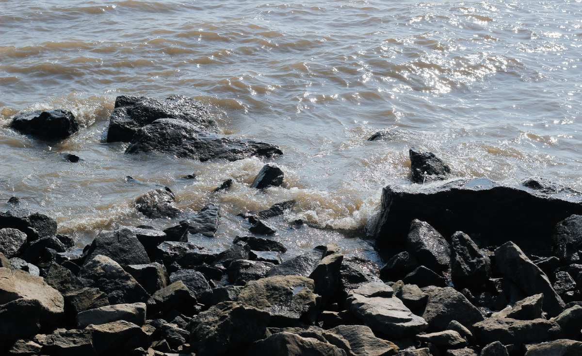 常阴沙江堤的秋