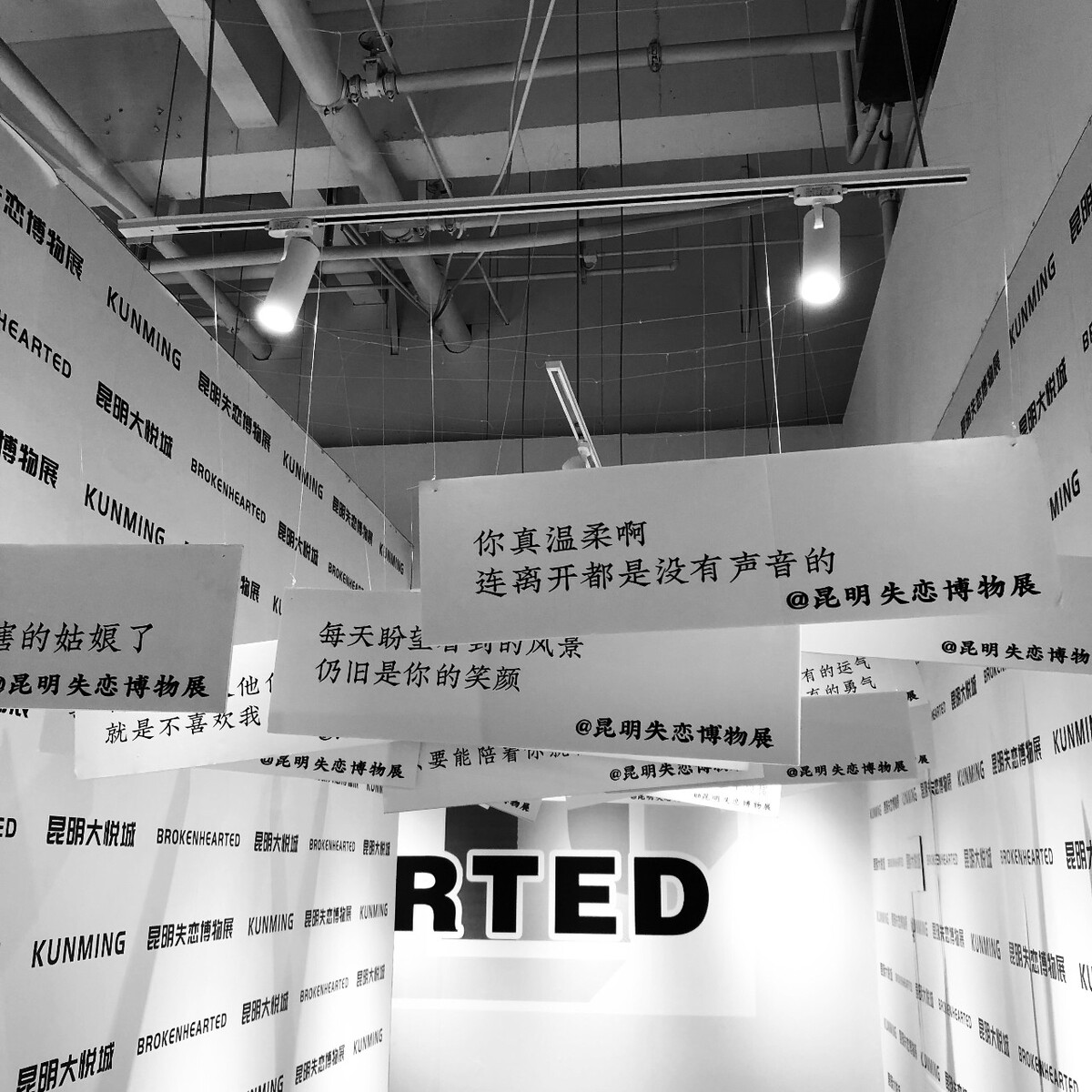 钟毅网络双线服务器租赁为解决网络瓶颈