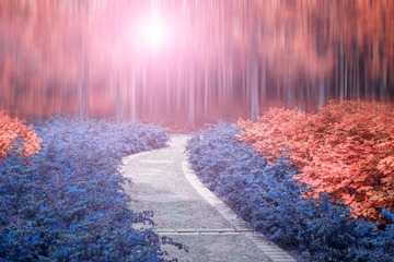 夜来幽梦