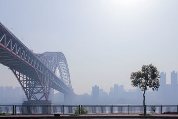晨桥