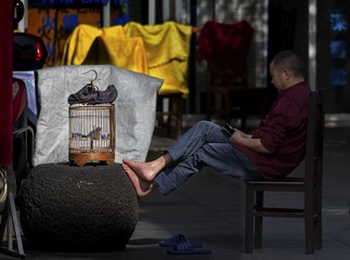 《享受阳光》