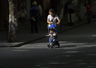《林荫道上》