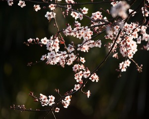574F4D0E-C0E3-4948-861B-7D61D55E7F31/L0/001