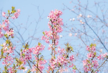 9B9B4866-17D6-42E4-8736-721D8EA49DB2/L0/001