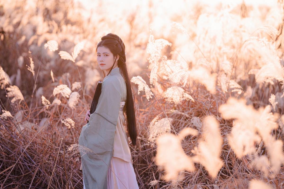 夕阳芦苇汉服美女