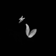 L1008671-2