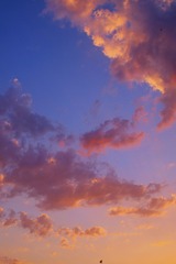 A1369135-C762-42A8-9E72-C5691457D2DD/L0/001