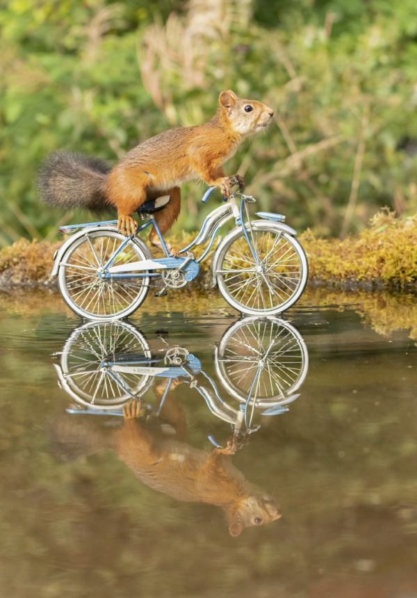 你好,我在这里!你在哪儿?