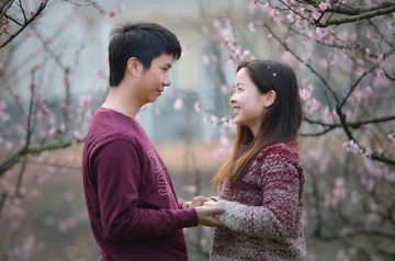 《桃林故事》