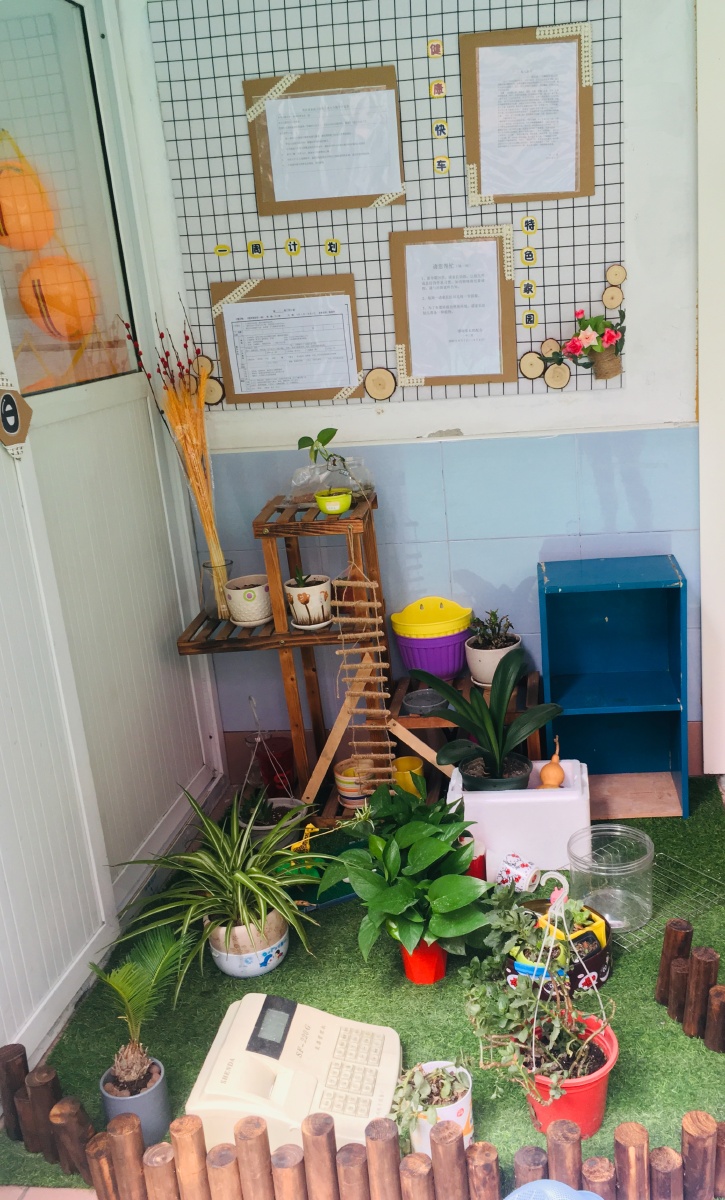 幼儿园环创—植物角