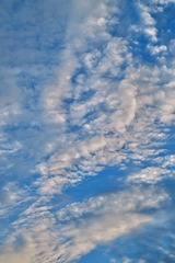 435894A4-582B-41A9-BCB1-0958B960E241/L0/001