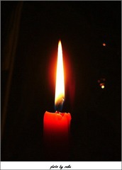 DSCF9216