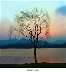 Provia Copy