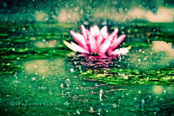 暴雨落下时