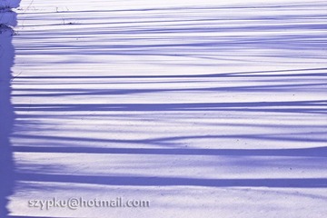 IMG_1103-Edit