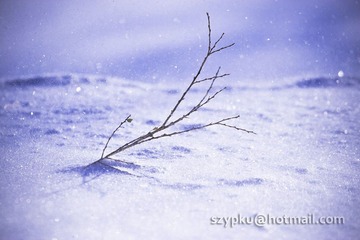 IMG_1104-Edit
