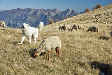 IMG_3639.jpg