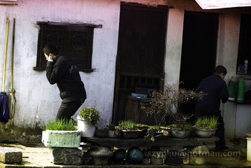 IMG_3249-Edit