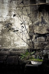 IMG_3310-Edit