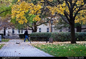 IMG_8996