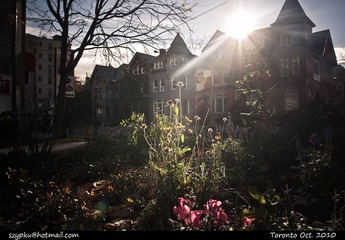 IMG_9655