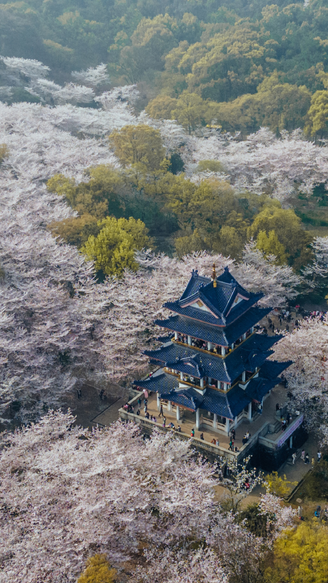 无锡鼋头渚航拍