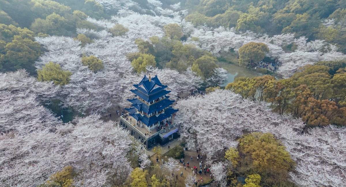 无锡鼋头渚航拍