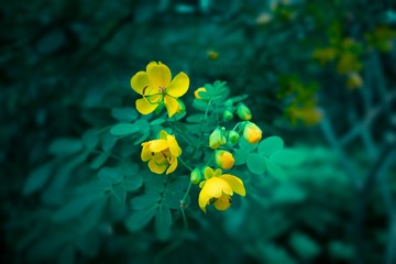 _DSC0909
