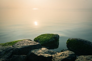 _DSC4718