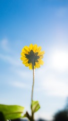 1100809