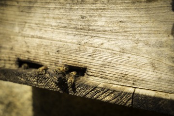 _DSC6280