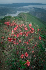_DSC4833
