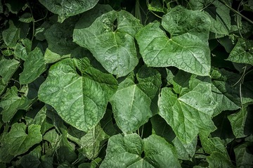 _DSC3450