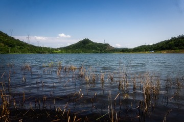 _DSC4979